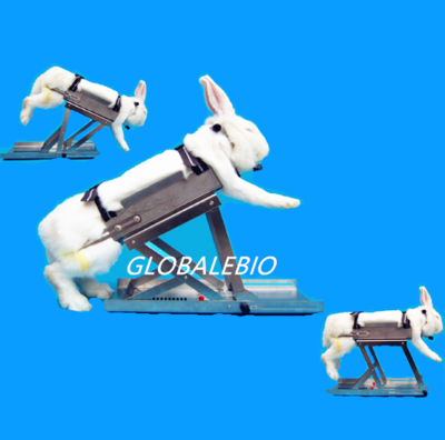 不锈钢多功能兔子固定器(灌胃固定架)